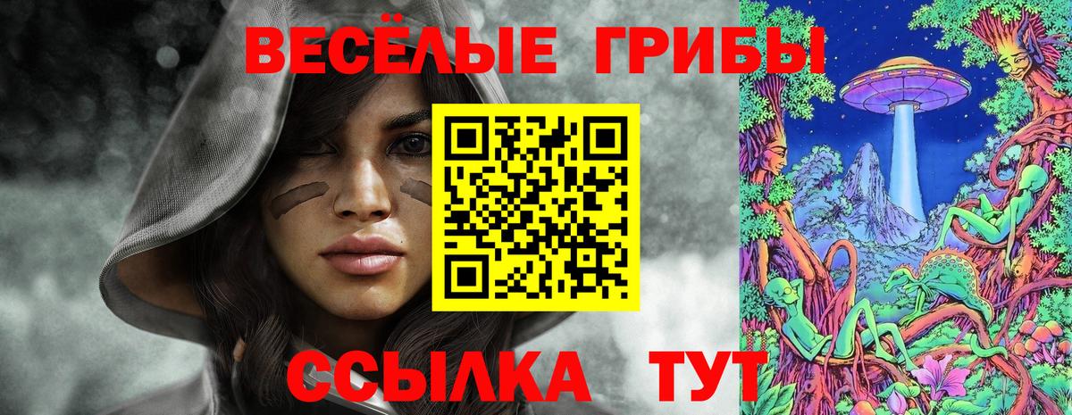 Псилоцибиновые грибы мухоморы  Вход с VPN  Сергиев Посад 