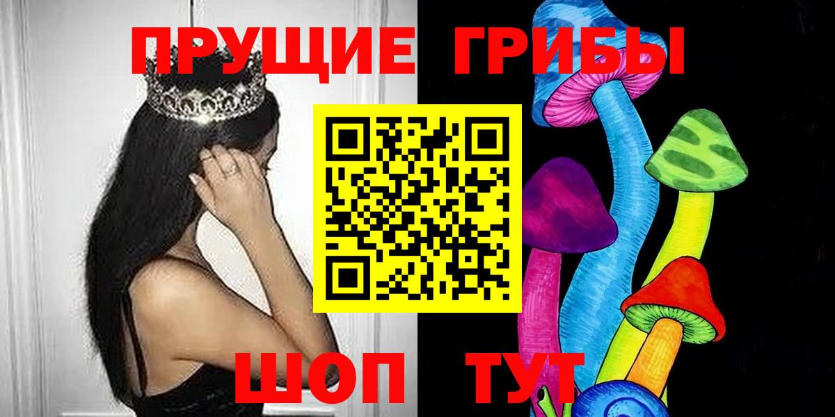 Галлюциногенные грибы Psilocybe Сергиев Посад