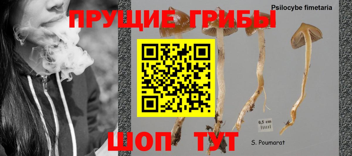 Сергиев Посад  Вход с VPN  Где купить  МЕФ   Гашиш  Марихуана  Конопля 